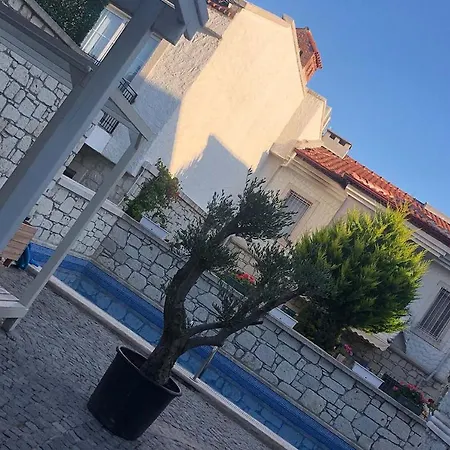 Hotel Neva 4*