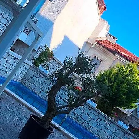 Hotell Neva 4*